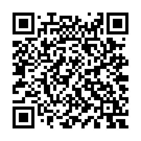 QR code for 514PAY