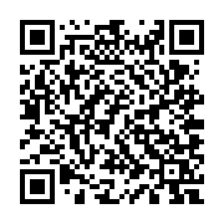 QR code for 514VMS