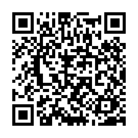 QR code for 516PCO