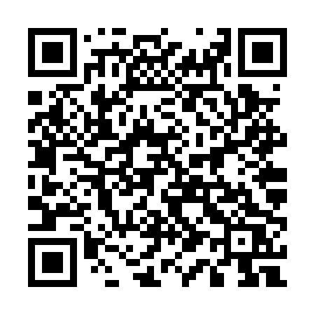 QR code for 516PPS
