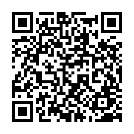 QR code for 519IOV