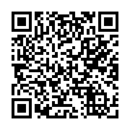 QR code for 519LQT