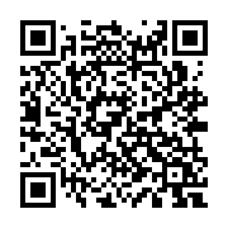 QR code for 519SMV