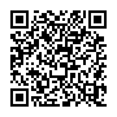 QR code for 519SOI