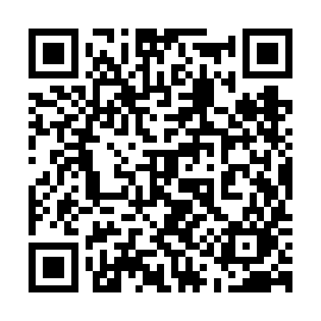 QR code for 519VIO