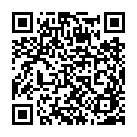 QR code for 519WEB