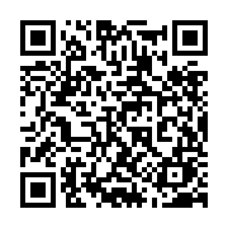 QR code for 519ZOL