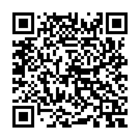 QR code for 520IRR