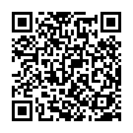 QR code for 520PGI