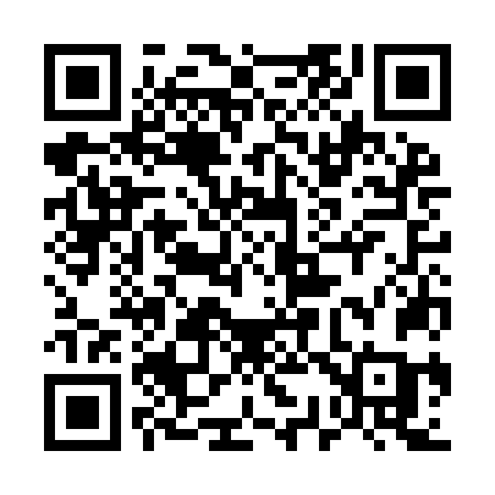 QR code for 533INC