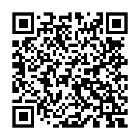 QR code for 533LUM