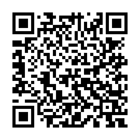 QR code for 533NLS
