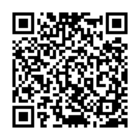 QR code for 533UDI
