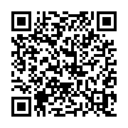 QR code for 533UEI