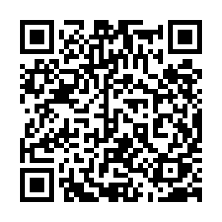 QR code for 541UIQ