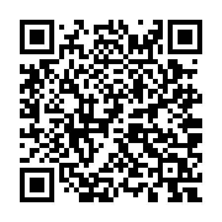 QR code for 546PMT