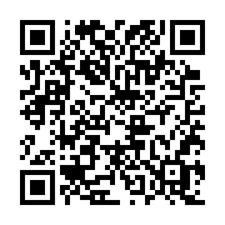 QR code for 555SWF