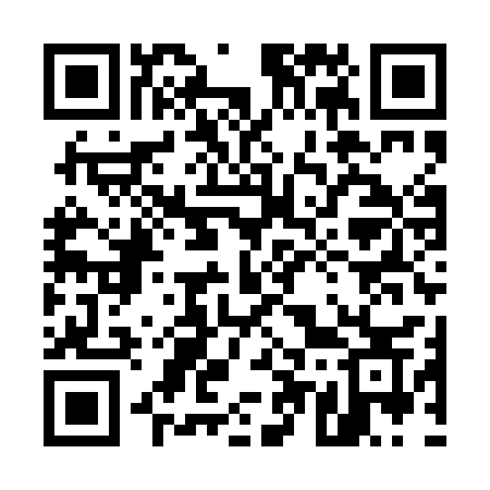 QR code for 559PCS