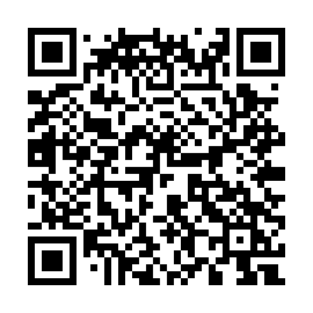QR code for 585PTK
