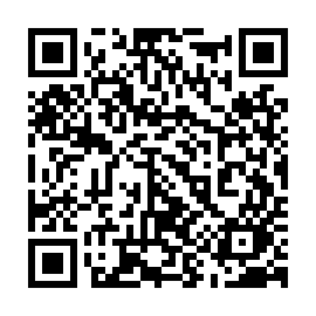 QR code for 593LUO