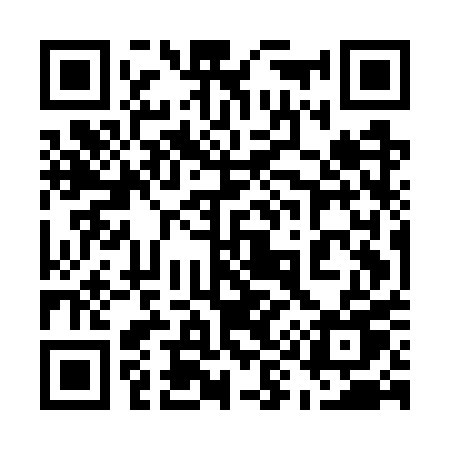 QR code for 595GPU