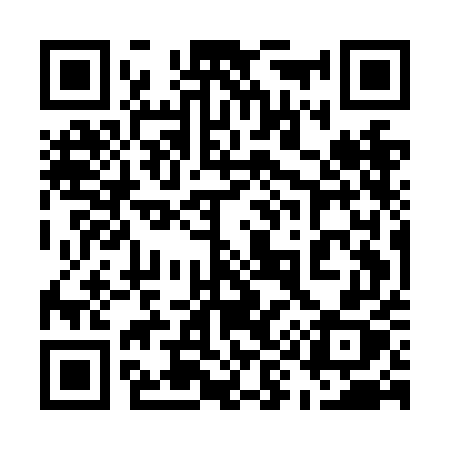 QR code for 595NEX