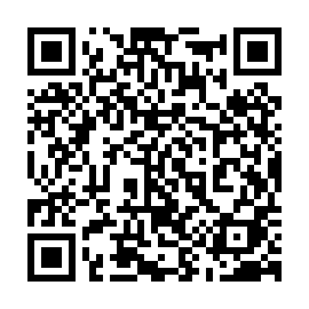 QR code for 599PPI