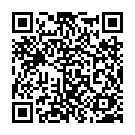 QR code for 599SKM