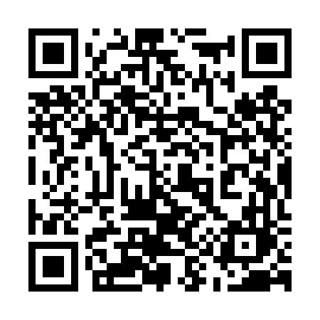 QR code for 599TVL
