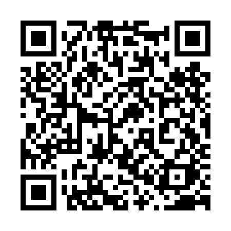 QR code for 603DJI