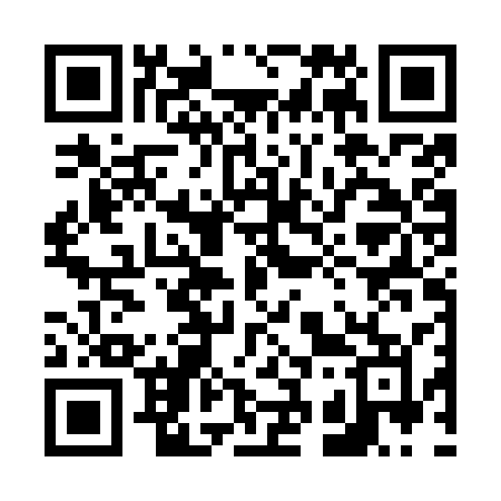 QR code for 636OSM