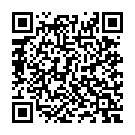 QR code for 647DML