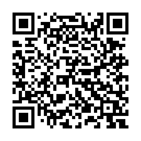 QR code for 653DLP