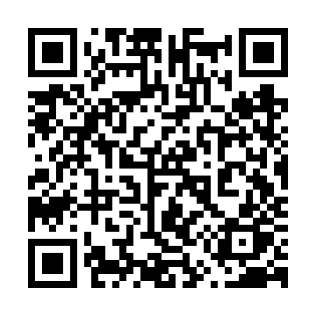QR code for 653FZP