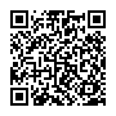 QR code for 653PCO