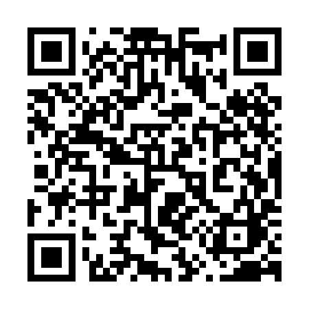 QR code for 655PIC