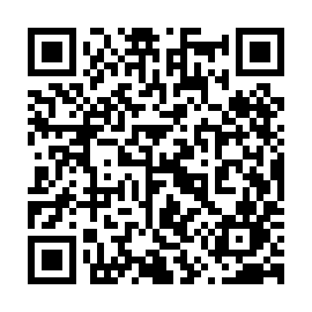 QR code for 655PIN