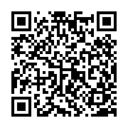QR code for 655PIR