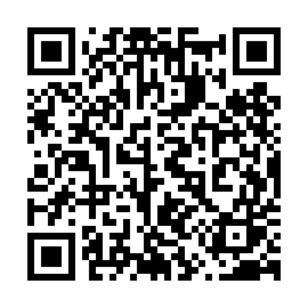 QR code for 655TES