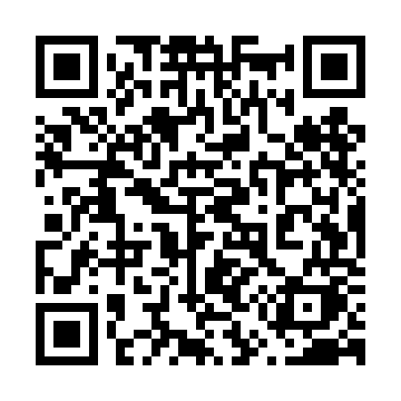 QR code for 655TOK