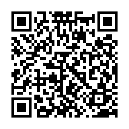 QR code for 655USR