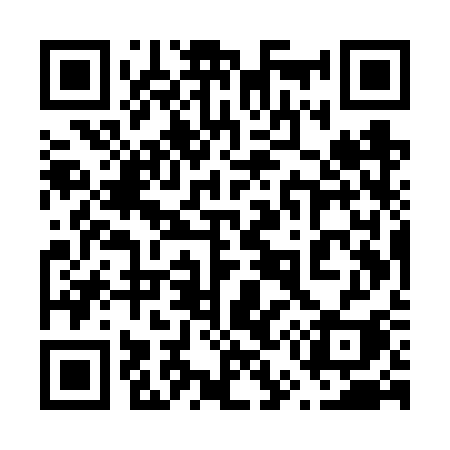 QR code for 655VSI