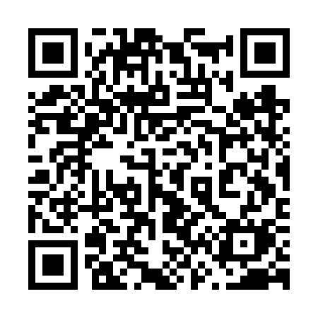 QR code for 663FSM