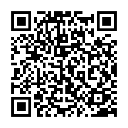 QR code for 663YSP