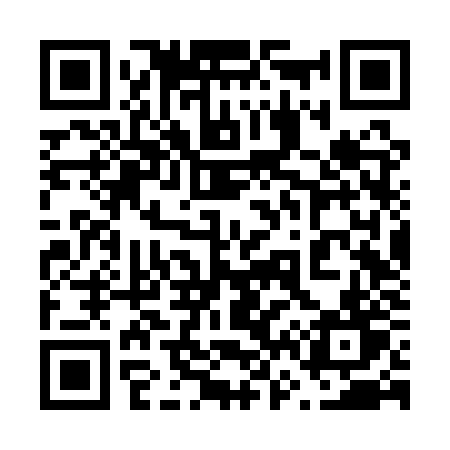 QR code for 666QZT