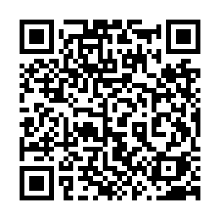 QR code for 669NSI