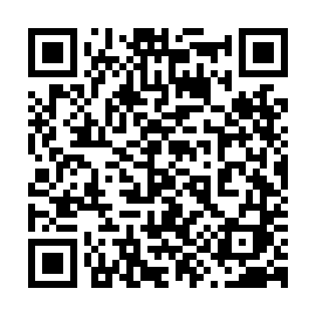 QR code for 696LDI