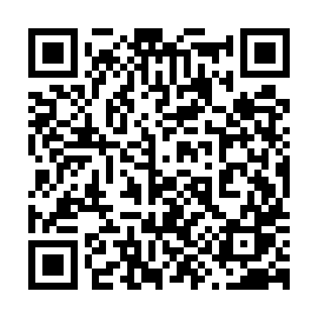 QR code for 699EXS