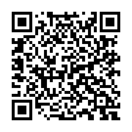 QR code for 729MED