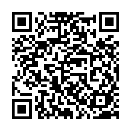 QR code for 729MIM